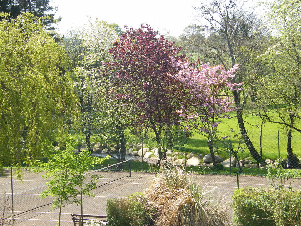 Riverfield Bed And Breakfast Gorey Bagian luar foto