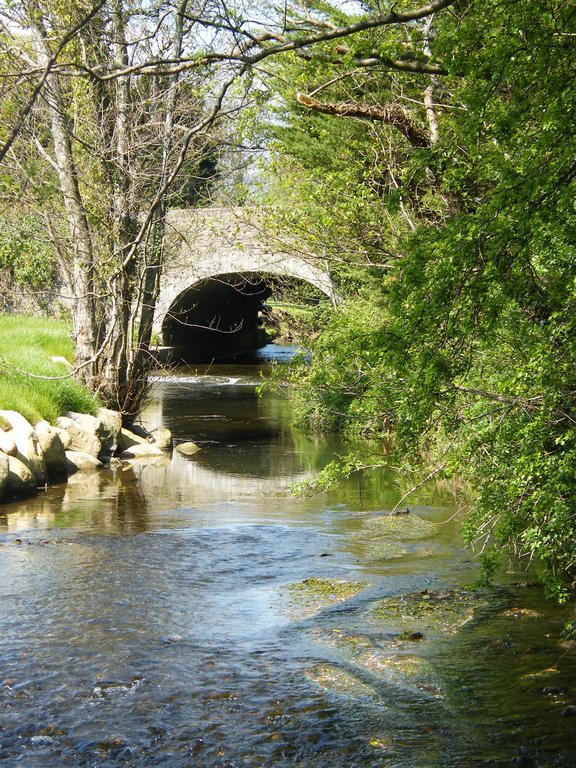Riverfield Bed And Breakfast Gorey Bagian luar foto