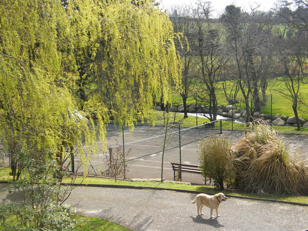 Riverfield Bed And Breakfast Gorey Bagian luar foto
