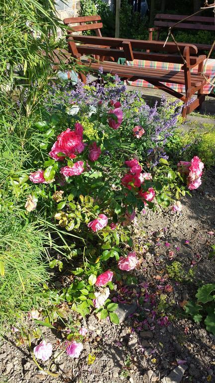Riverfield Bed And Breakfast Gorey Bagian luar foto