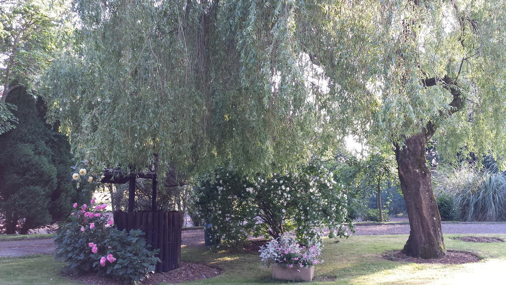 Riverfield Bed And Breakfast Gorey Bagian luar foto