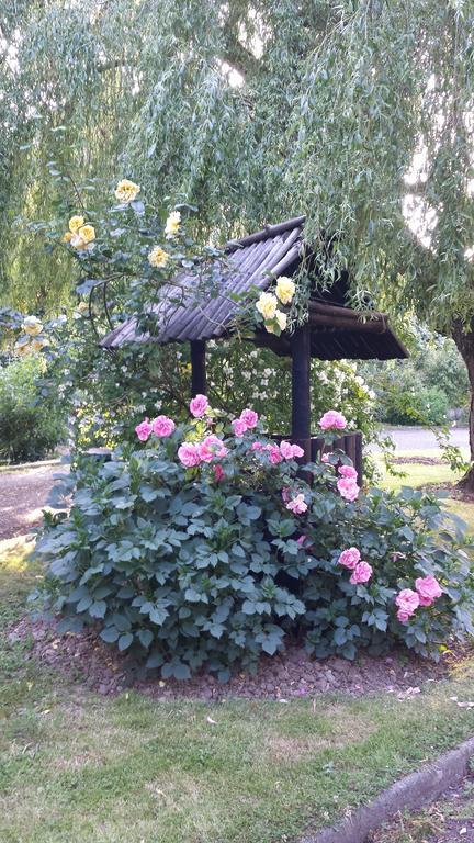 Riverfield Bed And Breakfast Gorey Bagian luar foto