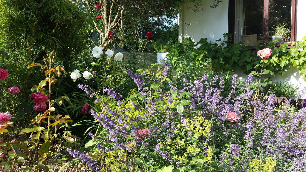 Riverfield Bed And Breakfast Gorey Bagian luar foto