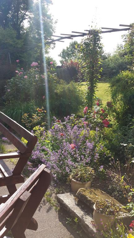Riverfield Bed And Breakfast Gorey Bagian luar foto